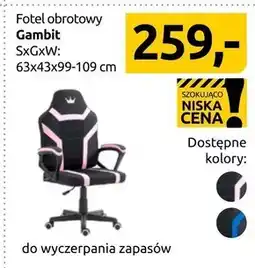 Black Red White Fotel Gambit oferta