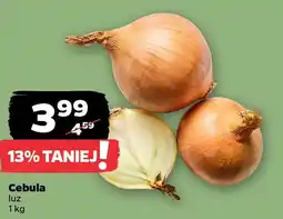 Netto Cebula oferta