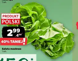 Netto Sałata masłowa oferta