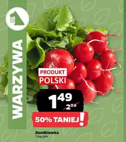 Netto Rzodkiewka oferta