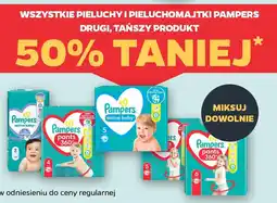 Netto Wszystkie pieluchy i pieluchomajtki Pampers oferta