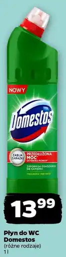 Netto Płyn do WC Domestos oferta