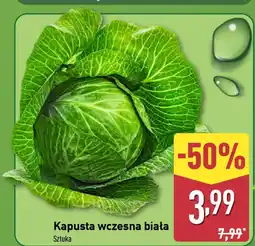 ALDI Kapusta wczesna biała oferta