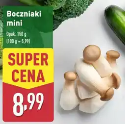 ALDI Boczniaki mini oferta