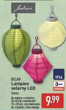 ALDI Lampion solarny 15 x 30 cm Belavi oferta
