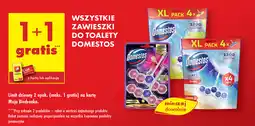 Biedronka Zawieszki do toalety Domestos oferta