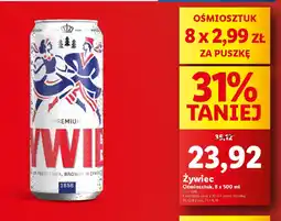 Lidl Zywiec oferta