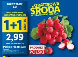 Lidl Polskie rzodkiewki oferta