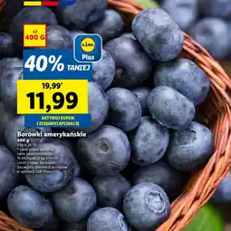 Lidl Borówki amerykańskie oferta
