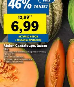Lidl Melon Cantaloupe oferta