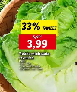 Lidl Polska minisałata rzymska oferta