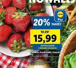 Lidl Polskie truskawki oferta