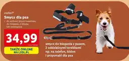 Lidl Smycz dla psa oferta