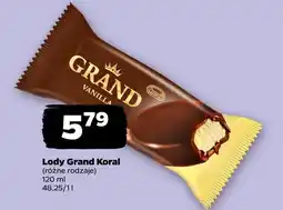 Netto Lody Koral oferta