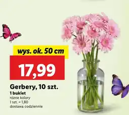Lidl Bukiet S! oferta