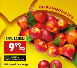 Biedronka Nektarynki oferta
