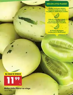 Biedronka Melon oferta