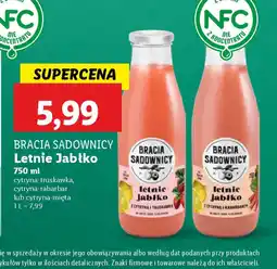 Lidl Bracia Sadownicy Letnie Jabłko oferta