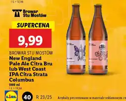 Lidl Piwo Browar Stu Mostów oferta