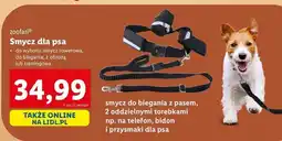 Lidl Smycz dla psa treningowa Zoofari oferta