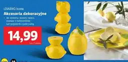 Lidl Pojemnik z pokrywką cytryna Livarno oferta