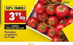 Biedronka Pomidory gałązka oferta