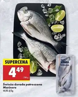 Biedronka Dorada patroszona świeża Marinero oferta