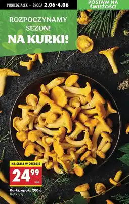 Biedronka Kurki oferta