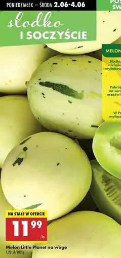 Biedronka Melon little planet oferta