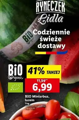 Lidl Arbuz mini bio oferta
