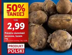 Lidl Ziemniaki wczesne polska oferta
