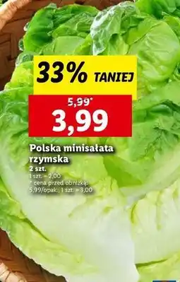 Lidl Sałata rzymska oferta