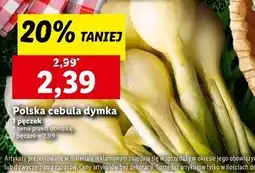 Lidl Cebula dymka oferta