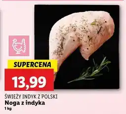 Lidl Noga z indyka Świeży Indyk Z Polski oferta