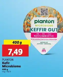 Lidl Kefir gut Planton (Żywność) oferta