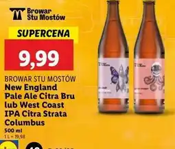 Lidl Piwo Browar Stu Mostów New England oferta