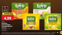 Lidl Herbata mięta z malinami Loyd Tea The Magic Experience oferta