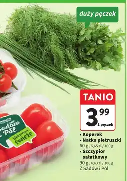 Intermarche Szczypior sałatkowy 90g Z Sadów i Pól oferta