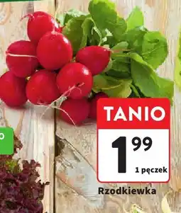 Intermarche Rzodkiewka 1 pęczek Intermarche oferta