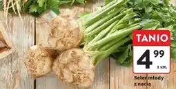 Intermarche Seler młody z nacią 1 szt. Intermarche oferta