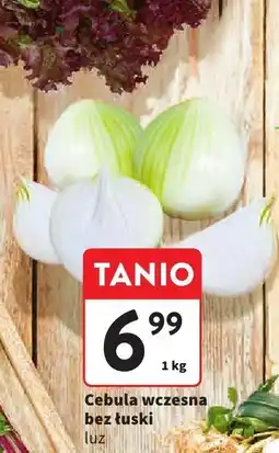 Intermarche Cebula wczesna bez łuski luz Intermarche oferta