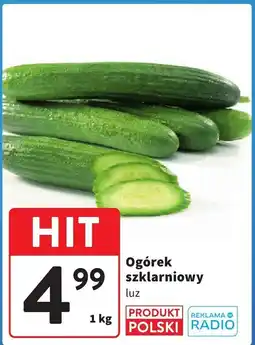 Intermarche Ogórek szklarniowy luz 1kg Intermarche oferta
