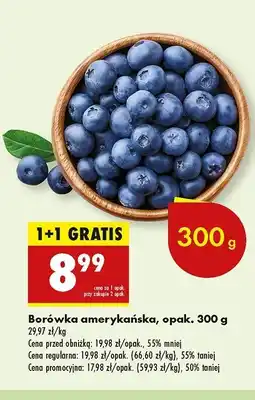 Biedronka Borówki amerykańskie oferta