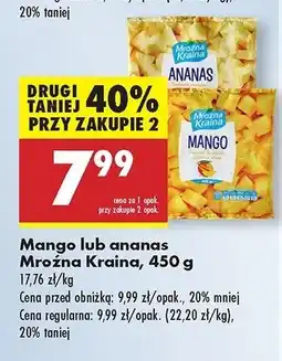 Biedronka Mango Mroźna kraina oferta