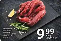 Selgros Ośmiornica gotowana 600-800 g Selgros oferta