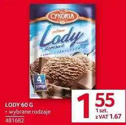 Selgros Lody 60g Cykoria oferta
