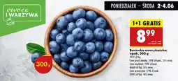 Biedronka Borówka amerykańska oferta