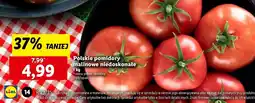 Lidl Pomidory malinowe oferta