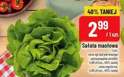 Polomarket Sałata masłowa 1szt. POLOmarket oferta