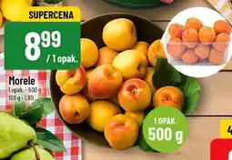 Polomarket Morele 500g POLOmarket oferta